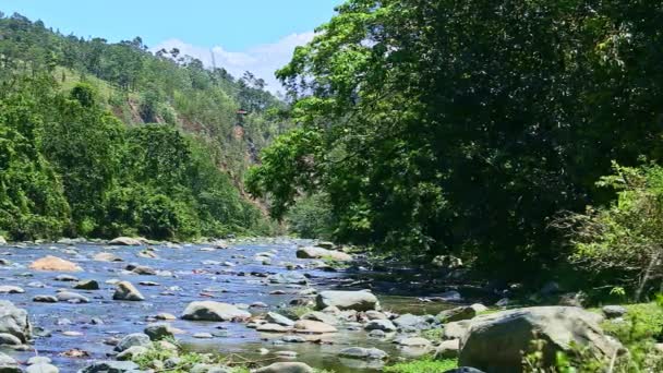 Panorama lento no córrego largo do rio da montanha com corredeiras de pedra grandes — Vídeo de Stock