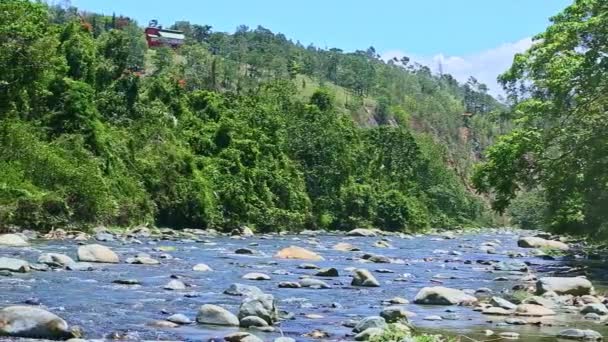 Wide mountain river stream with big stone rapids surrounded by fresh greenery — Stockvideo