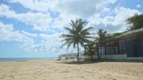 Panorama en las nubes esponjosas blancas vuelan por encima de la playa de arena dorada con grandes palmeras — Vídeo de stock