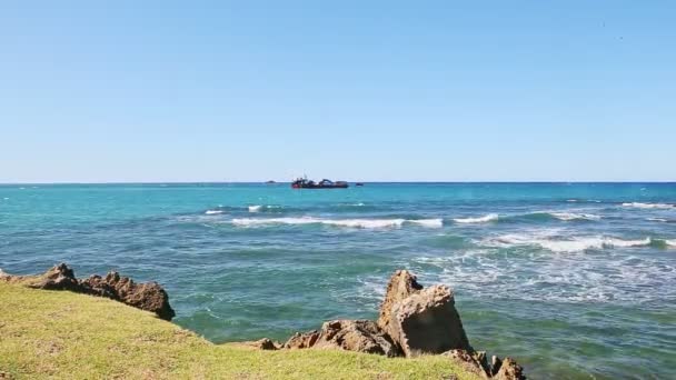 Strong wind drives long white waves in blue ocean water to green rocky beach — Stock Video