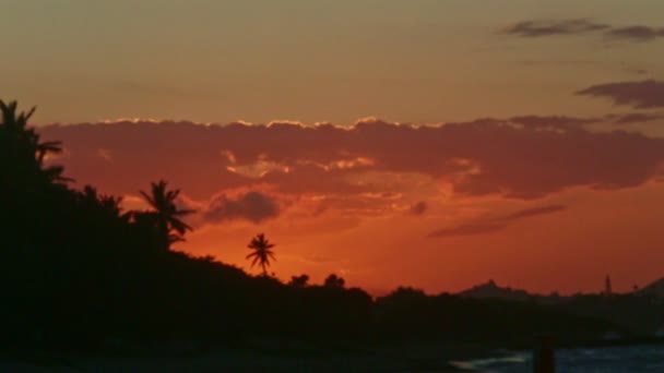 Εστίαση έξω από το κόκκινο ηλιοβασίλεμα ουρανό τοπίο με φοίνικες σιλουέτες — Αρχείο Βίντεο