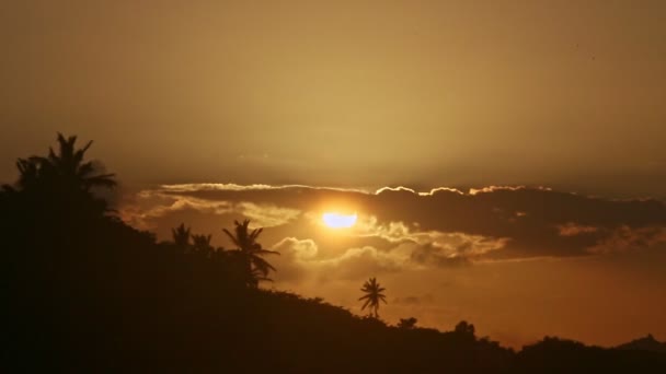 Große gelbe Sonne, die hinter Wolken und Palmen am Meeresufer untergeht — Stockvideo