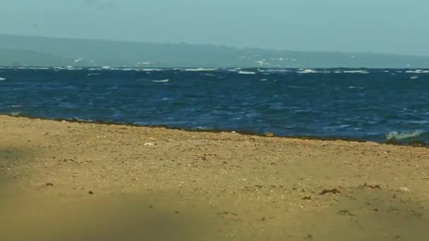 Sterke wind drijft witte golven in blauw oceaanwater naar gouden zandstrand — Stockvideo