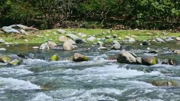 넓은 산의 푸른 강에 있는 파노라마를 덮고 있는 큰 돌 급류 — 비디오