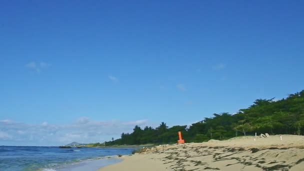 White fluffy clouds above blue ocean with waves and golden sand beach — 비디오