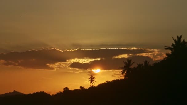 Soleil jaune se couchant derrière de grands nuages et des silhouettes de palmiers sur le rivage — Video