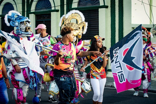Concepcion Vega República Dominicana Fevereiro 2020 Muitas Pessoas Carregam Bandeiras — Fotografia de Stock
