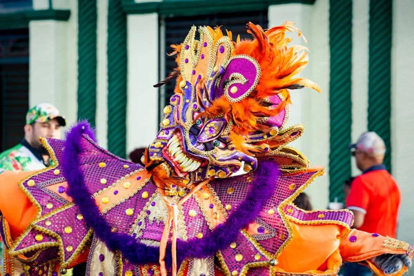 Concepcion Vega República Dominicana Fevereiro 2020 Homem Traje Cintilante Névoa — Fotografia de Stock