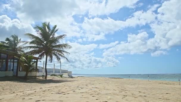 Panorama lent aux nuages pelucheux volent au-dessus de la plage de sable doré avec de grands palmiers — Video