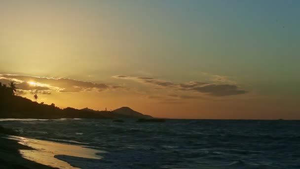 Panorama no pôr do sol amarelo atrás de grandes nuvens e silhuetas de palmeiras — Vídeo de Stock