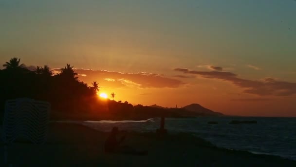 Vergrößern Sie die großen gelben Untergänge hinter Palmen-Silhouetten am Meeresufer — Stockvideo