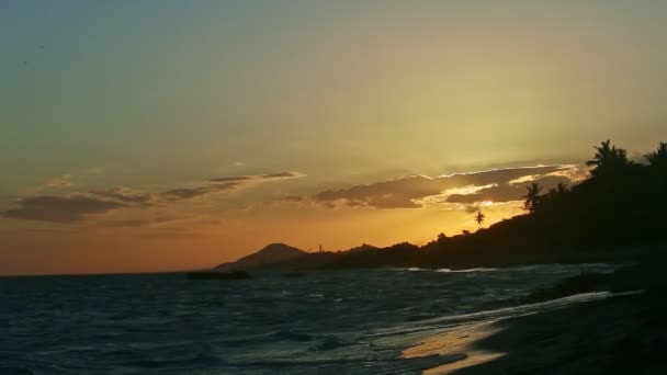 Yellow sun setting down behind big clouds and palm trees silhouettes on seashore — Stock Video