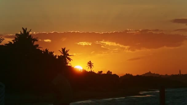 Gros plan grand soleil jaune couchant derrière des nuages dorés et des silhouettes d'arbres — Video