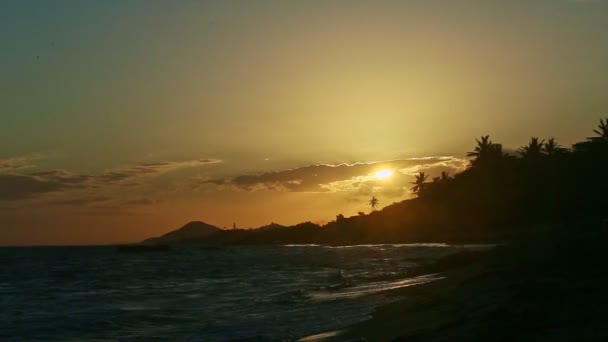 Yellow sun setting down behind big clouds and palm trees silhouettes on seashore — Stock Video