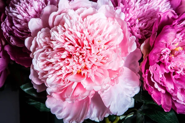 Vista Macro Superiore Squisito Bouquet Composto Molte Grandi Peonie Rosa — Foto Stock