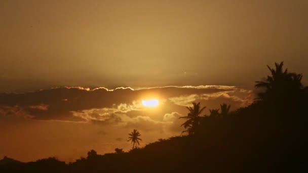 Sol dorado poniéndose detrás de las nubes y las siluetas de palmeras en la orilla del océano — Vídeos de Stock
