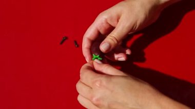 Kadın ellerine tepeden bakıldığında patlıcan şekilli badem ezmesi şekerlerine kuru bir karanfil yerleştirilir