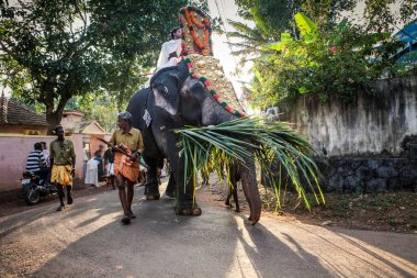 Kottayam, Kerala, INDIA - 25 Ocak 2012: Hint halkı, 25 Ocak 'ta Kottayam' da düzenlenen festivalde Hint köyünün önünden yürüyen süslü fillere liderlik ediyor.