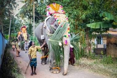Kottayam, Kerala, INDIA - 25 Ocak 2012: 25 Ocak 'ta Kottayam' da düzenlenen geleneksel festivalde Hintli erkekler köyden köye yürüyen süslü fillere liderlik ediyor