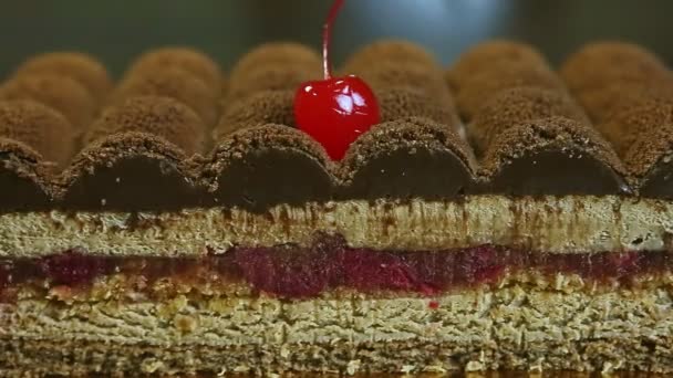 Enfoque de primer plano fuera de la mitad de la forma original pastel de chocolate con capa intermedia de cereza — Vídeos de Stock