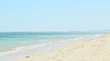 Güçlü Dominikli adam kumlu beyaz sahilde Golden Retriever köpeğiyle koşuyor.