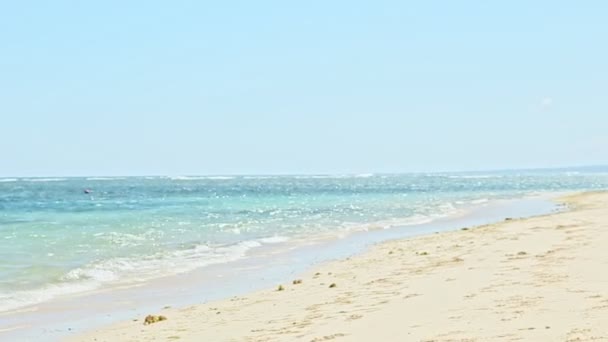 Fuerte dominicano hombre corriendo con golden retriever perro en arena blanca playa — Vídeo de stock