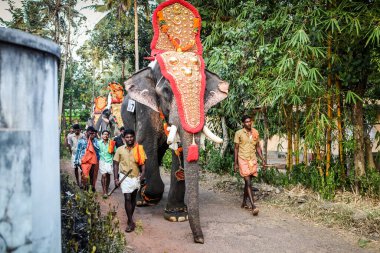 Kottayam, Kerala, INDIA - 25 Ocak 2012: 25 Ocak 'ta Kottayam' da düzenlenen geleneksel festivalde Hint köyünün yanından geçen süslü filli Hintliler
