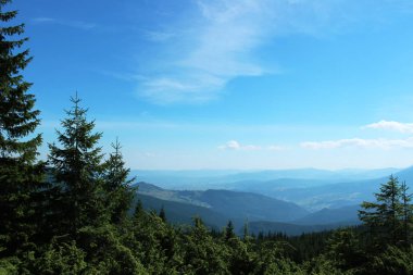 Mavi sırtlar ve ağaçlar yaz aylarında dağların 