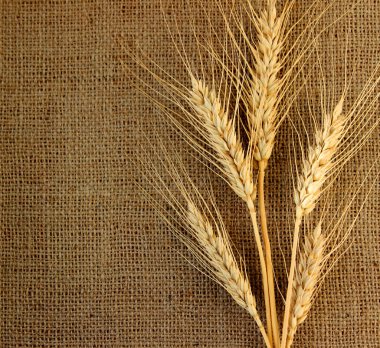 Üzerine kumaş spike