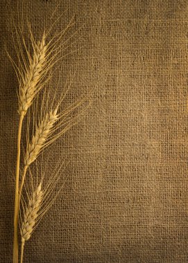 Üzerine kumaş spike