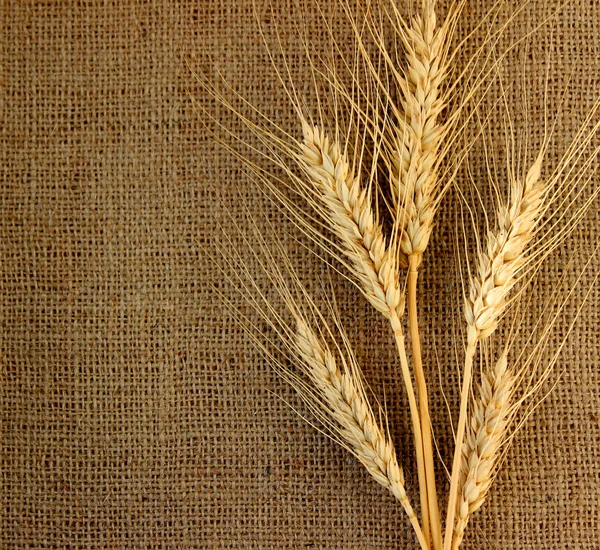 Üzerine kumaş spike