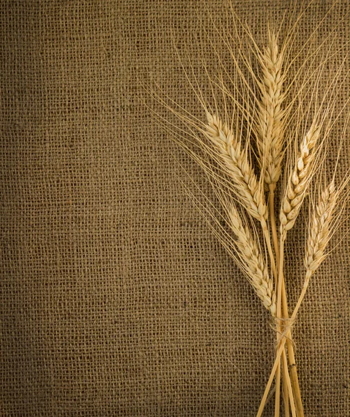 Üzerine kumaş spike