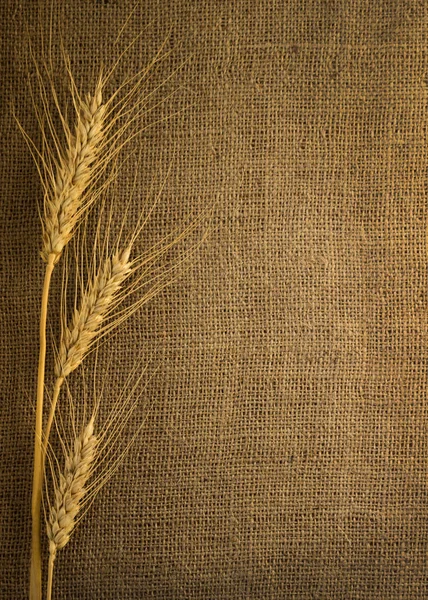 Üzerine kumaş spike