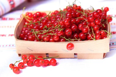 Mezarda bir arka plan üzerinde embroid için küçük kırmızı kuş üzümü