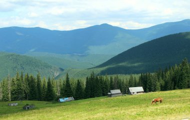 Blue Ridge Dağları, ağaçlar, at ve eski ahşap evler