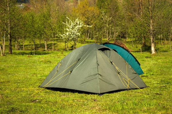 Namiot na trawniku wśród drzew w górach — Zdjęcie stockowe