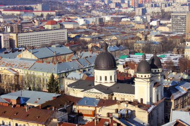 Kule eski şehirden. Evlerin çatıları. Lviv 