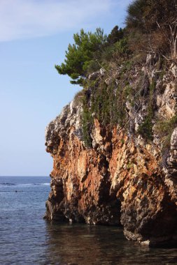 Ağaçlar deniz ve mavi gökyüzü arka plan üzerinde taşla