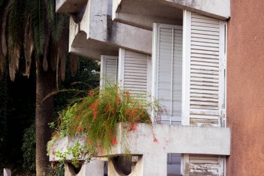 Pencere dış cephe. saksı windo üzerinde