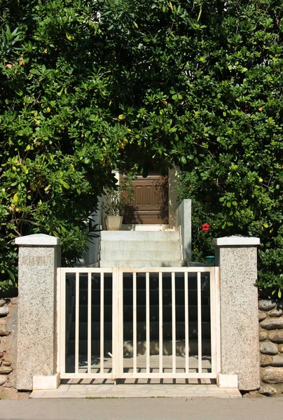 Porch, steps, Fig trees around. The Mediterranean design