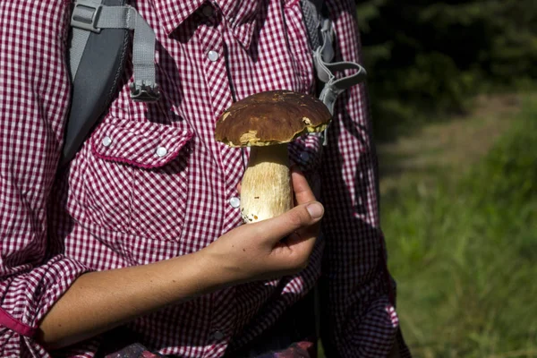 Turist kız beyaz mantar elinde tutan. Genç bir kadın