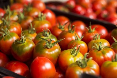 Kesimler siyah plastik bir kutu içinde kırmızı domates. Vege bir sürü