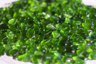 Deniz manzarası, çakıl taşları, arka plan, doku. Kırık cam şişeler ve