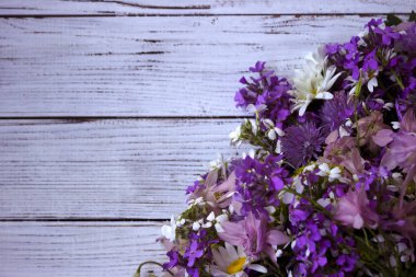 Farklı türlerde çiçekler: mor ve menekşe phlox, beyaz papatya, Pembe Beyaz ahşap zemin üzerinde çan. Metin için yer