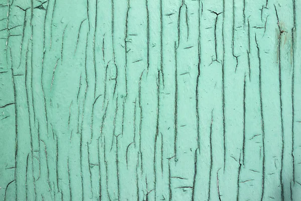 Cracked paint on wooden doors, green background. Aged concept. Mint rough texture