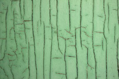 Ahşap kapılarda çatlak boya, yeşil arka plan. Eski bir kavram. Doku