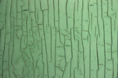 Ahşap kapılarda çatlak boya, yeşil arka plan. Eski bir kavram. Doku