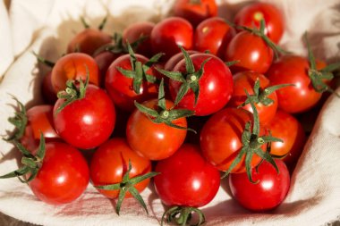 Beyaz peçeteli küçük yuvarlak domatesler, ahşap arka plan. Lezzetli sağlıklı sebzeler, çiğ yiyecekler.