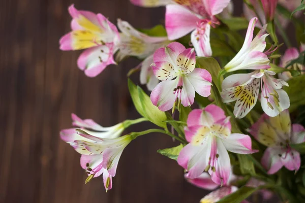 Buquê Alstremeria Flores Suavemente Rosa Lírio Peruano Flores Para Feriado — Fotografia de Stock