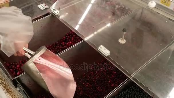 Mulheres ganhando bagas congeladas cranberry — Vídeo de Stock